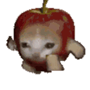 Emoji catapplerunning