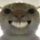 Emoji CatSmile