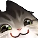Emoji akblackcat