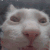 Emoji 70190catinsanity