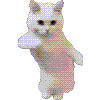 Emoji 86025aicatdance