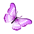 Emoji 69205butterflymagenta