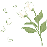 Emoji 71560flowersandpetals