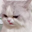 Emoji catgrump