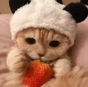 Emoji catpandastrawber