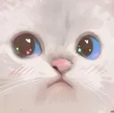 Emoji xcatstare