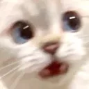 Emoji gotscaredofmarco