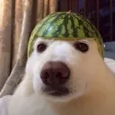 Emoji watermelon25