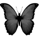 Emoji emoji_butterfly