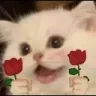 Emoji chatfleur