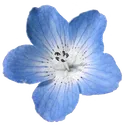 Emoji 9g_lotusflower