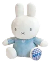 Emoji blue24