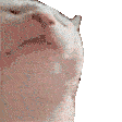 Emoji Danse