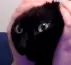 Emoji Sachi_Aled