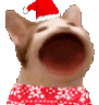 Emoji christmascatpop