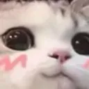 Emoji emoji_uwu