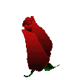 Emoji blooming_redrose