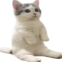 Emoji sit