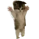 Emoji stand