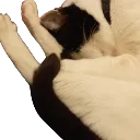 Emoji sleep