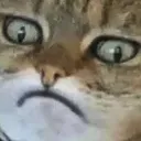 Emoji 3CWhy