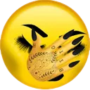 Emoji emoji_jpp