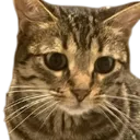 Emoji emoji_fryskette