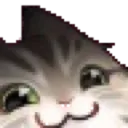 Emoji smugcat