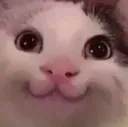 Emoji catsmile