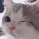 Emoji emoji_30