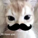 Emoji stachecat