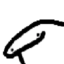 Emoji eb_flork_peek