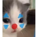 Emoji GatoPayaso