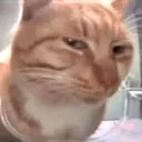 Emoji DR_CatLook