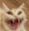 Emoji catahah
