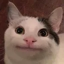Emoji ahok