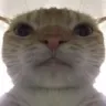 Emoji catlook