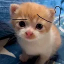 Emoji emoji_41