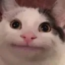 Emoji emoji_127