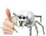 Emoji AraigneePouce