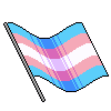 Emoji 999_trans_flag