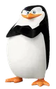 Emoji Pingouins