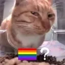 Emoji gay