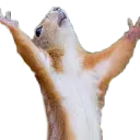 Emoji emoji_46
