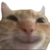 Emoji happy_cat