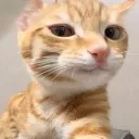 Emoji emoji_48