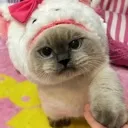 Emoji emoji_49