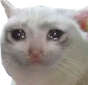 Emoji eb_catsad