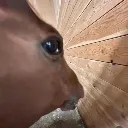 Emoji sideeyes