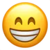 Emoji 2912iphoneemoji4